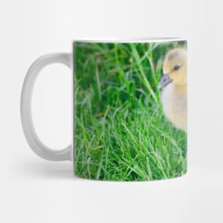 Chick / Swiss Artwork Photography Mug